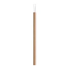 Bamboo Disposable Lip Brush - 50 ct.