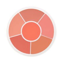 Ben Nye Blush + Contour Creme Rouge Wheel-6 Color - Natural Glow