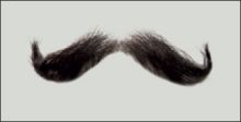 Atelier Bassi Moustache-M7
