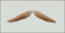 Atelier Bassi Moustache-M6
