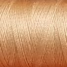  Gutermann Silk Thread - 110 yds - Apricot